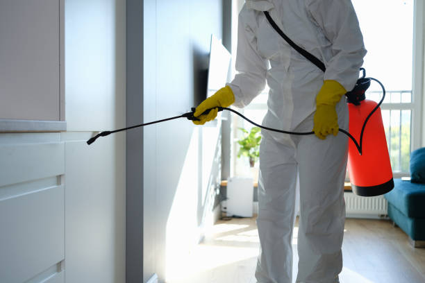 Best Commercial Mold Removal  in St George, MO
