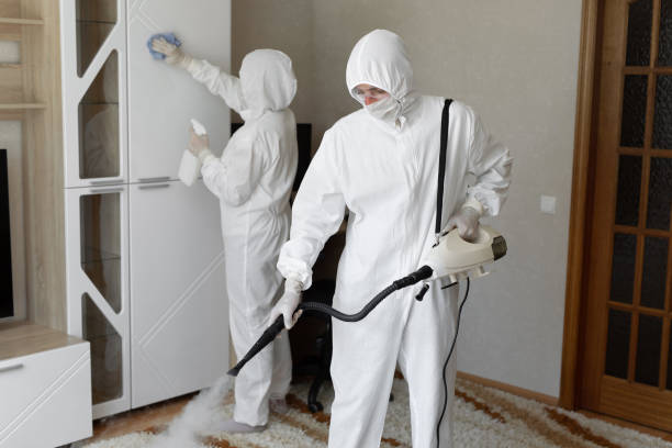 Best Residential Mold Removal  in St George, MO